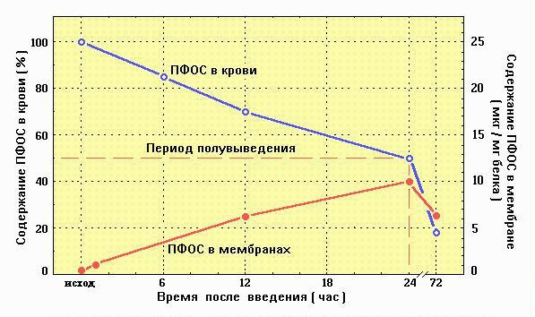 накопление ПФОС в мембранах (Воробьев С.И.)